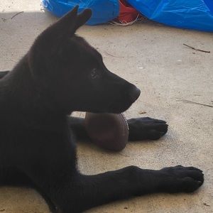 Meet your Posher, Kyle